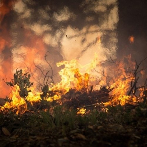 Nunca antes neste País a Amazônia queimou tanto