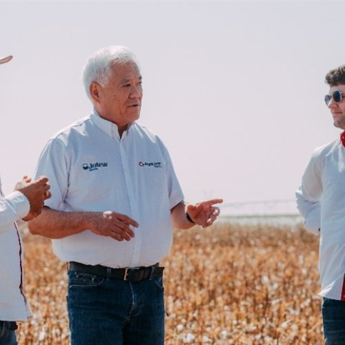 Lactofen: Tecnologia renasce no Brasil para controlar plantas daninhas resistentes