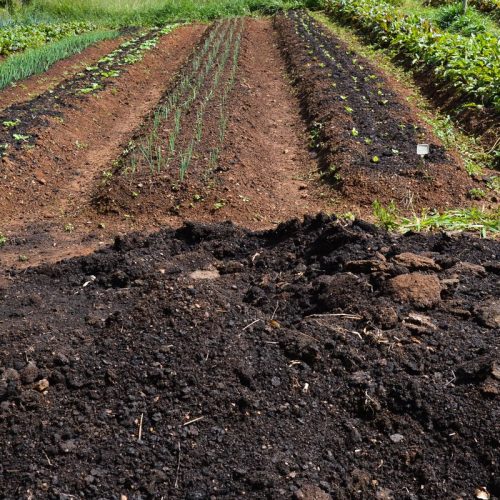 CMN amplia socorro a produtores afetados pelo clima