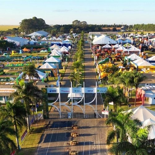 Embrapa apresenta cerca de cem tecnologias na AgroBrasília 2025