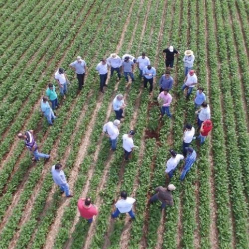 Cooperativismo financeiro impulsiona economias rurais