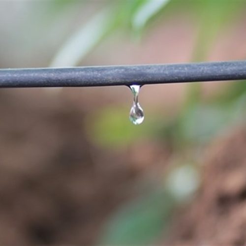 Controle de pressão garante eficiência na irrigação