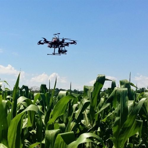 Jovens lideram transformação agrícola na África