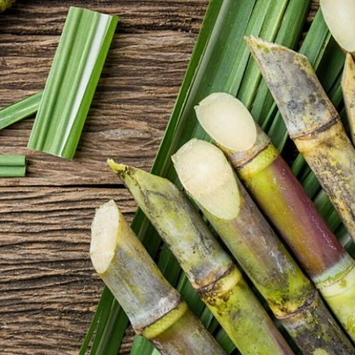 Goiás deve bater recorde na produção de açúcar