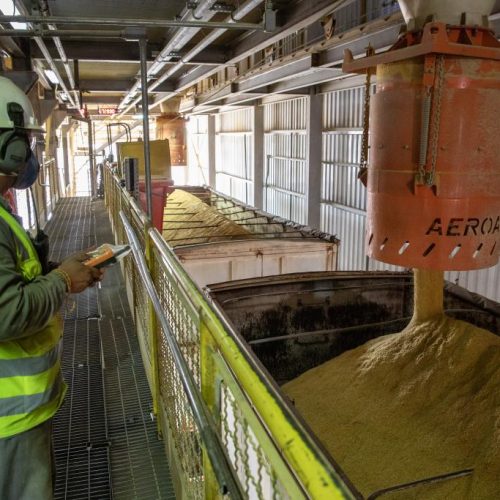 Governo de MT regulamenta uso de créditos de ICMS para produção de etanol e reforça regras fiscais