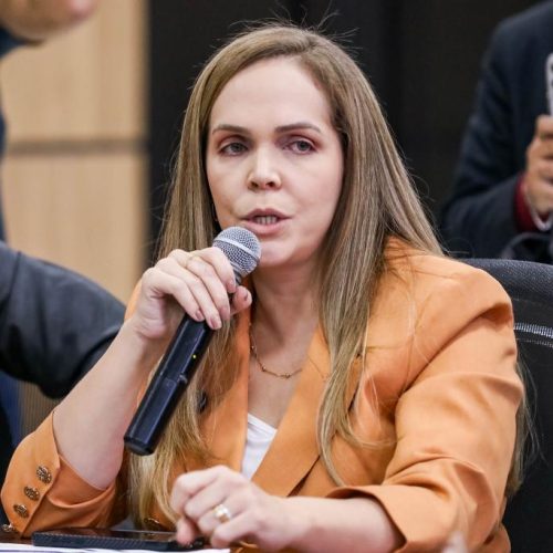 LIDERANÇA NA PRODUÇÃO: “MT se consolidou como um dos principais destinos de investimentos do país”, afirma secretária