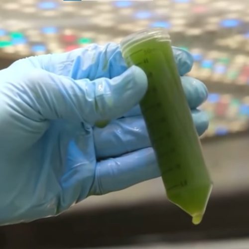 Biometano avança, mas capacidade segue ociosa