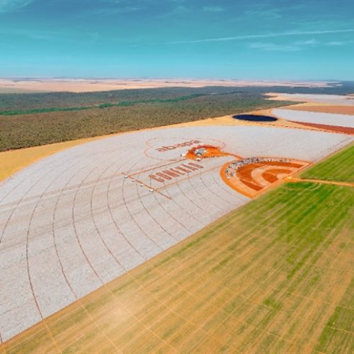 Em edição histórica, Dia do Algodão celebra 25 anos da Abapa e conecta tradição e inovação
