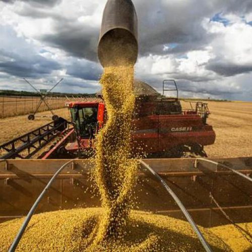 Exportações do agro batem recorde e Brasil amplia mercados em abril