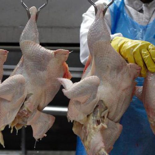 China emite proibição à importação de carne de frango de todo Brasil