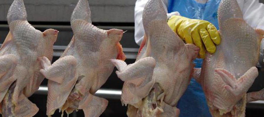 China emite proibição à importação de carne de frango de todo Brasil