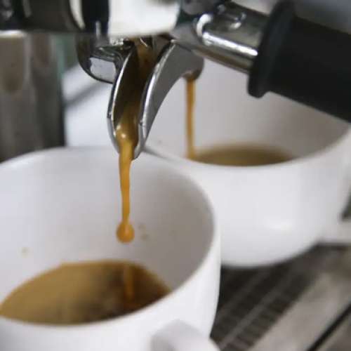 Anvisa proíbe três marcas de “café fake” por uso de matéria-prima contaminada; confira