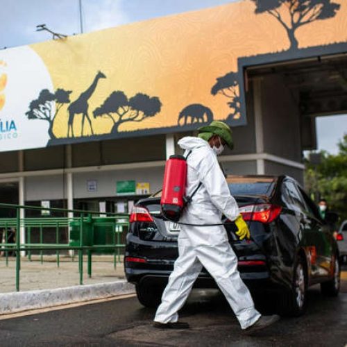 Mistério no Zoológico: ave exótica morre com sintomas neurológicos e levanta nova suspeita de gripe aviária no DF