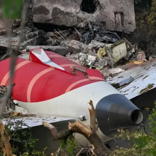 Colisão com aves pode ser “provável” causa da queda de avião na Índia
