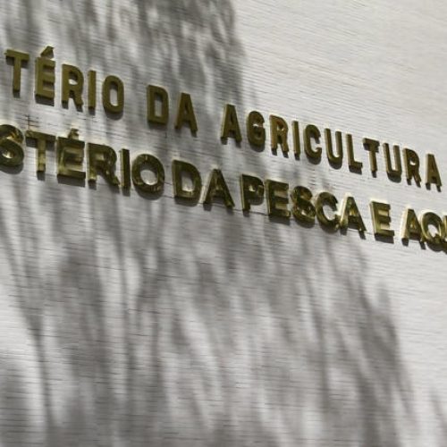 “Quem não comprar do Brasil perde dinheiro”, diz secretário do Mapa à CNN