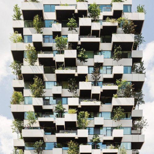 As ‘florestas verticais’ que estão transformando cidades