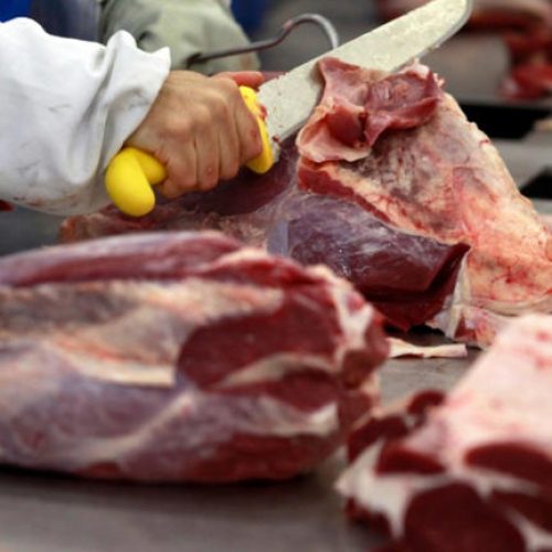 Mato Grosso lidera exportação de carne bovina em 2025