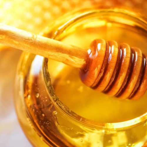 Exportação de mel do Piauí aos EUA é suspensa após tarifas de Trump