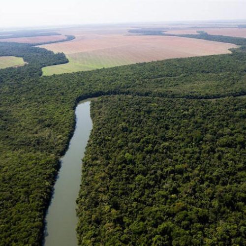 Câmara aprova projeto que flexibiliza licenciamento ambiental; texto vai para análise de Lula