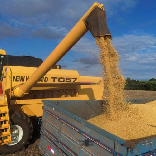Importações chinesas de soja do Brasil aumentam 9% em junho