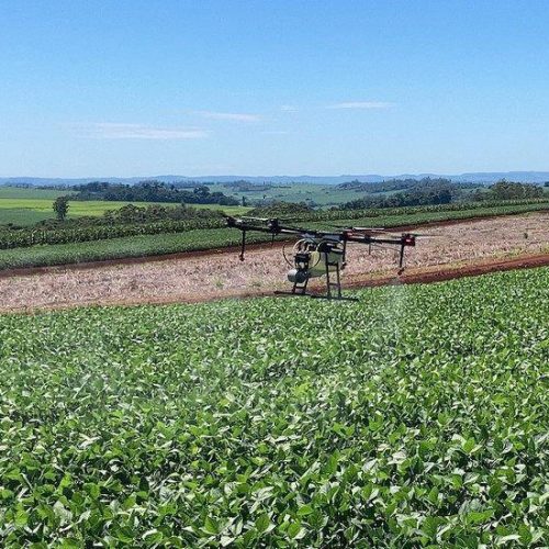 Petrobras quer avançar em vendas de diesel no Centro-Oeste com foco no agro