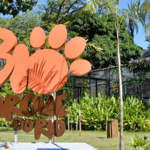 Ministério confirma foco de gripe aviária no Bioparque do Rio de Janeiro