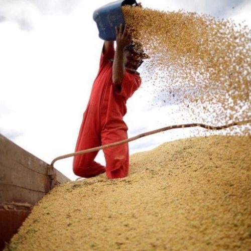 Brasil deve bater recorde de produção de soja em 2026
