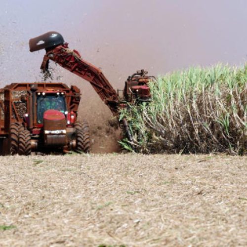 Diversificação dá resiliência ao agro paulista, diz secretário de SP