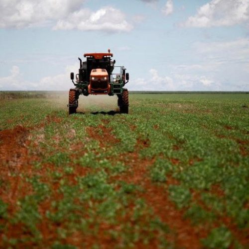 Pedidos de recuperação judicial no agro têm recorde no 2º tri, diz Serasa