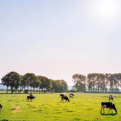 Como o acordo Mercosul-UE beneficia o Brasil? Entenda