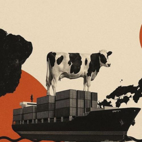 Missão do Japão fará auditoria final para liberar carne bovina brasileira