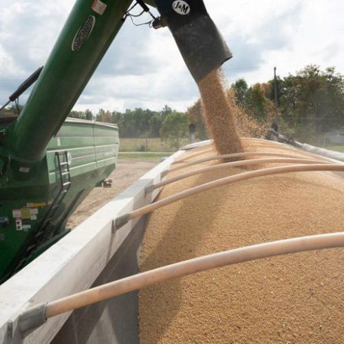 Importações de soja pela China batem recorde para outubro com oferta forte da América do Sul