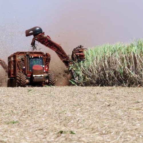 Exportações brasileiras de açúcar caem 11,7% em 2025