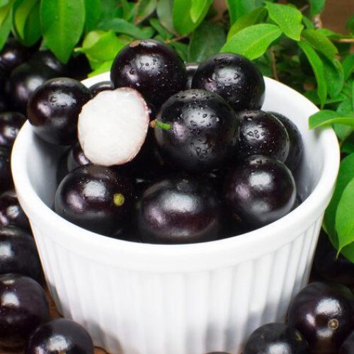 SAÚDE: Estudos revelam o que mais está por trás da casca de jabuticaba; saiba como consumir