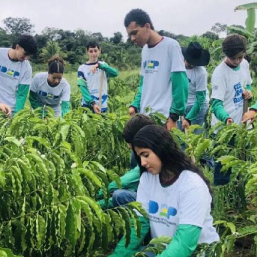 Agricultura familiar impulsiona formação técnica em Rondônia