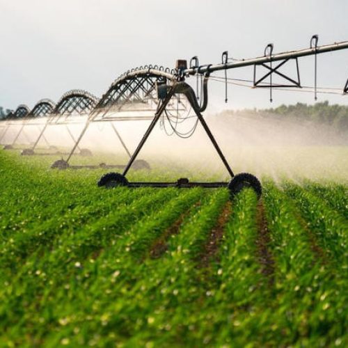Este é o único país do mundo 100% autossuficiente em termos de alimentos: fica na América do Sul