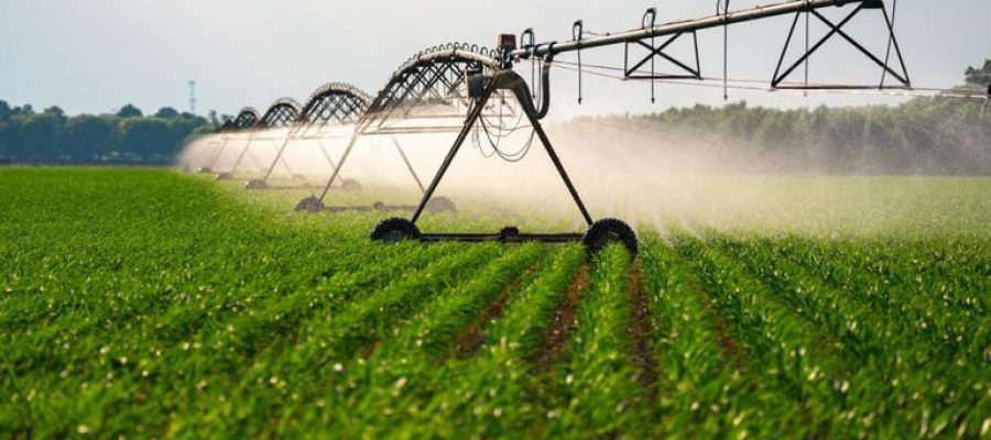 Este é o único país do mundo 100% autossuficiente em termos de alimentos: fica na América do Sul