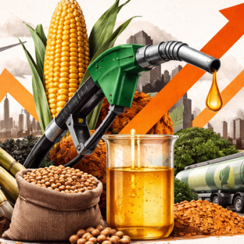 Setor de biodiesel no Brasil tem espaço para crescer, diz CEO da Caramuru