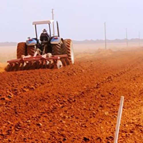 Licitação para asfaltar via de acesso a MT-449 em Lucas do Rio Verde será em dezembro