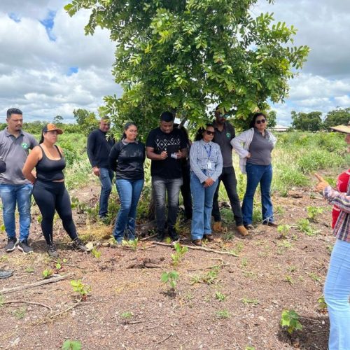 Cursos técnicos em agronegócio ampliam oportunidades de qualificação em Mato Grosso