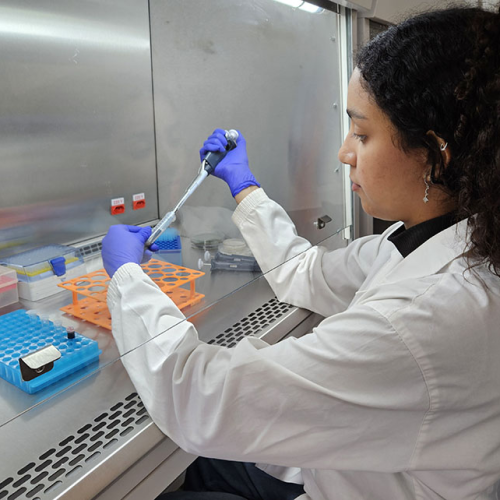 TECNOLOGIA NO AGRO: Técnica inovadora pode tornar bioinsumos ainda mais eficientes e sustentáveis na lavoura