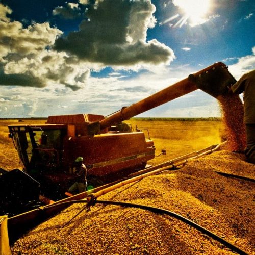 Quase lá! Brasil se aproxima do fim da colheita de soja; confira os números