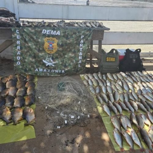 Ação integrada combate pesca predatória no rio Cuiabá e apreende centenas de pescado