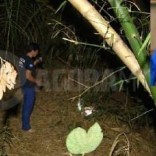 Adolescente de 13 anos morre afogado e corpo é encontrado preso em galhos