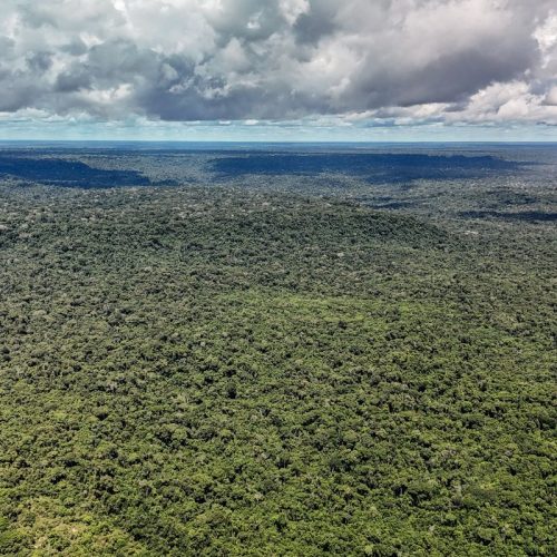 Adversária em campo, Noruega é parceria de ações ambientais do Brasil