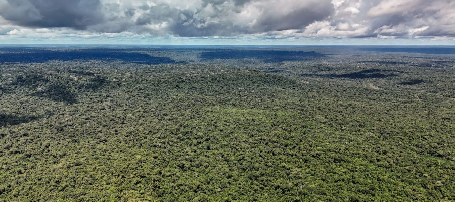 Adversária em campo, Noruega é parceria de ações ambientais do Brasil