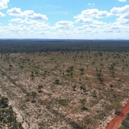 Após acordo com MP, produtor rural terá que pagar R$ 308 mil e recuperar área degradada em MT