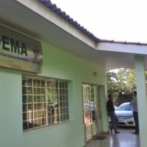 Após denúncia, idoso é preso por amputar patas de cachorro e crimes ambientais em Cuiabá