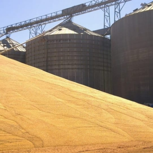 Após morte de trabalhador em silo de grãos, fazenda terá que adotar medidas urgentes de segurança
