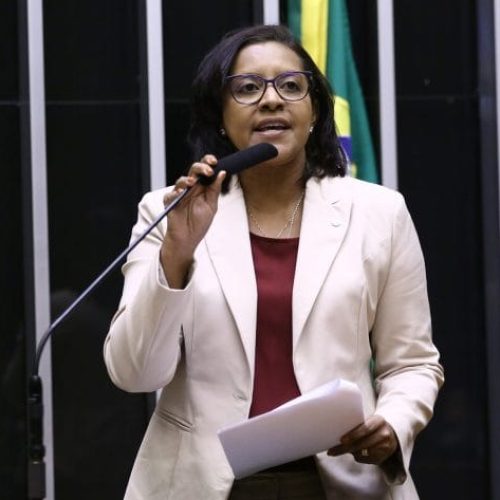 Aprovada punição a pais por gestão abusiva patrimonial; relatório foi lido por Gisela na Câmara